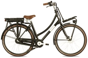 Fongers E-Transporter N3 360 Wh Blauw