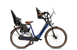 Fongers Nuevo Moederfiets 540 Wh Mineral Green