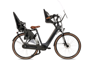 Fongers Nuevo Moederfiets 540 Wh Mineral Green