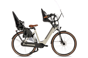 Fongers Nuevo Moederfiets 540 Wh Mineral Green