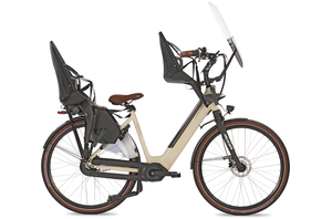 Fongers Nuevo Plus N8 LTD Moederfiets 594 Wh Mineral Green