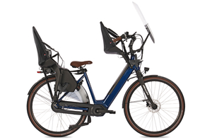Fongers Nuevo Plus N8 LTD Moederfiets 594 Wh Mineral Green