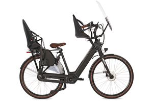 Fongers Nuevo Plus N8 LTD Moederfiets 594 Wh Mineral Green