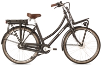 Stokvis E-Transporter N3 Deluxe 540 Wh Mat Zwart