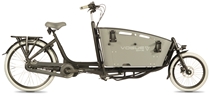Vogue Carry 2 Ananda 540 Wh