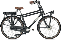Fongers E-Transporter N7 Disc 360 Wh Zwart