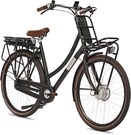 Fongers E-Transporter N7 Disc 594 Wh Zwart