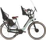 Fongers Nuevo FM Moederfiets 360 Wh Mineral Green