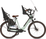 Fongers Nuevo Plus N8 LTD Moederfiets 360 Wh Mineral Green