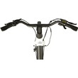 Bird Bike V-frame 346 Wh White
