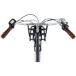 Popal Daily Dutch Prestige-E N3 470 Wh Zwart
