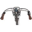 Fongers E-Transporter N3 360 Wh Zwart