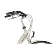 Montego Liberty 7